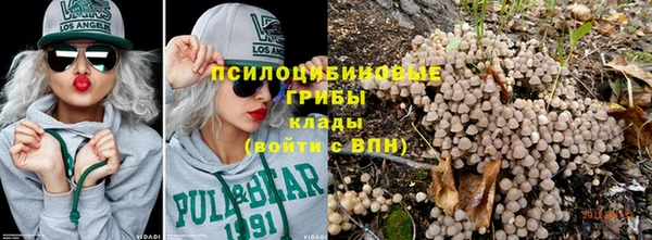 винт Алексеевка